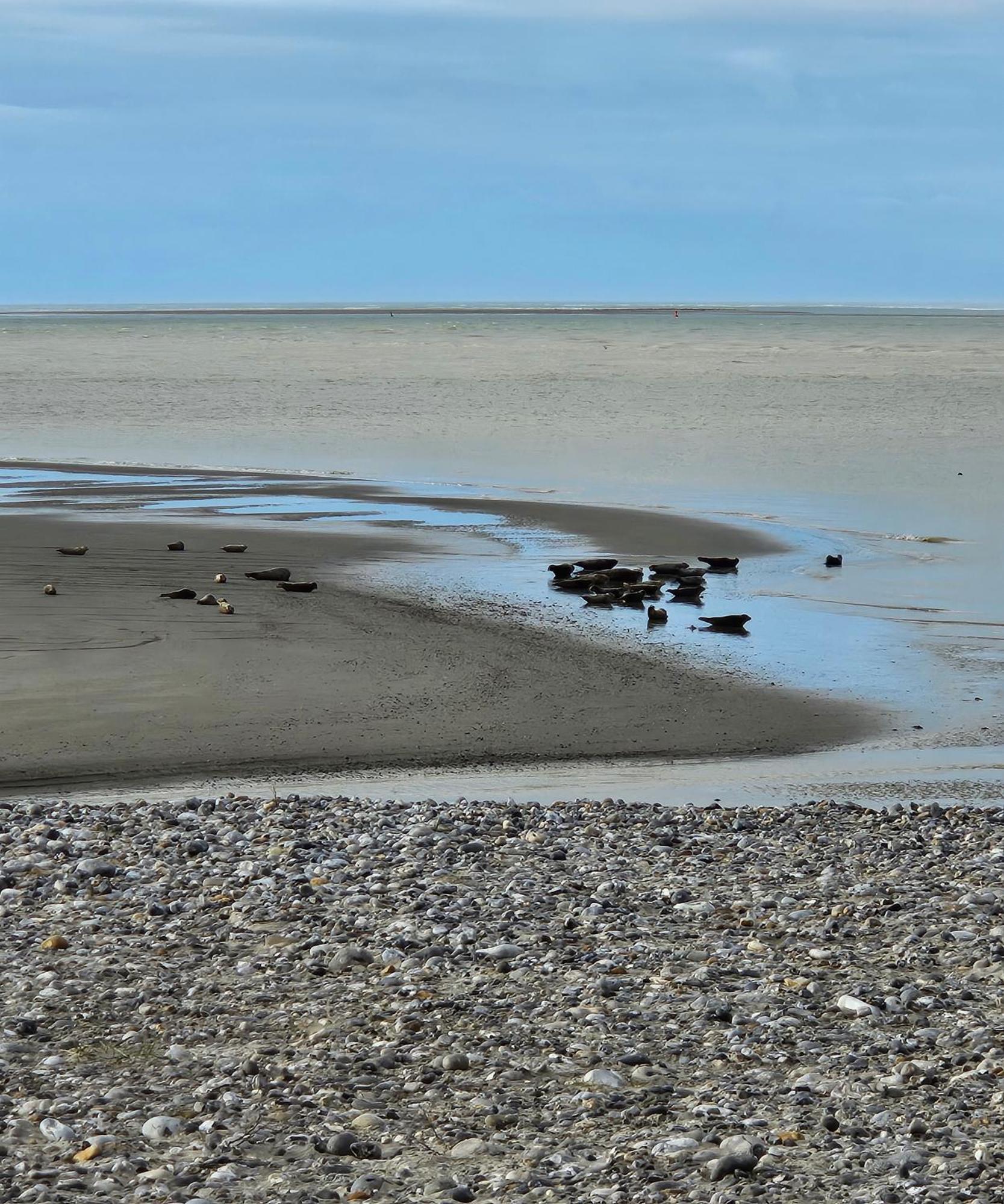 L'Instant Bed & Breakfast Cayeux-sur-Mer Exterior photo